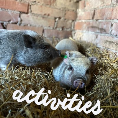 things to do with kids in Småland